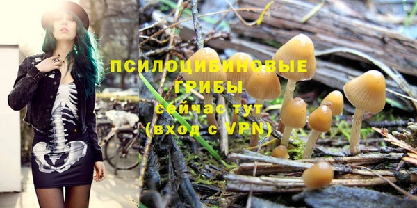 прущие грибы Балабаново