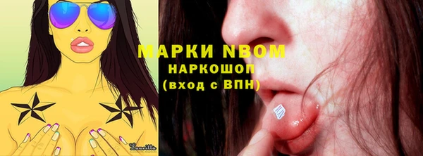 прущие грибы Балабаново
