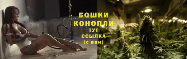 прущие грибы Балабаново