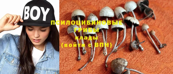 прущие грибы Балабаново