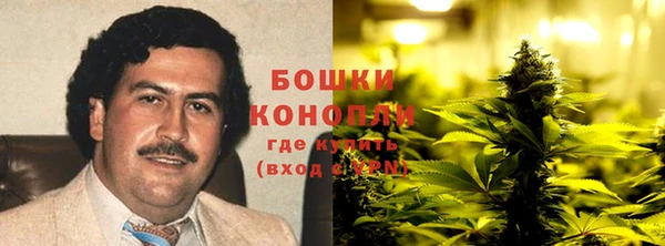 прущие грибы Балабаново